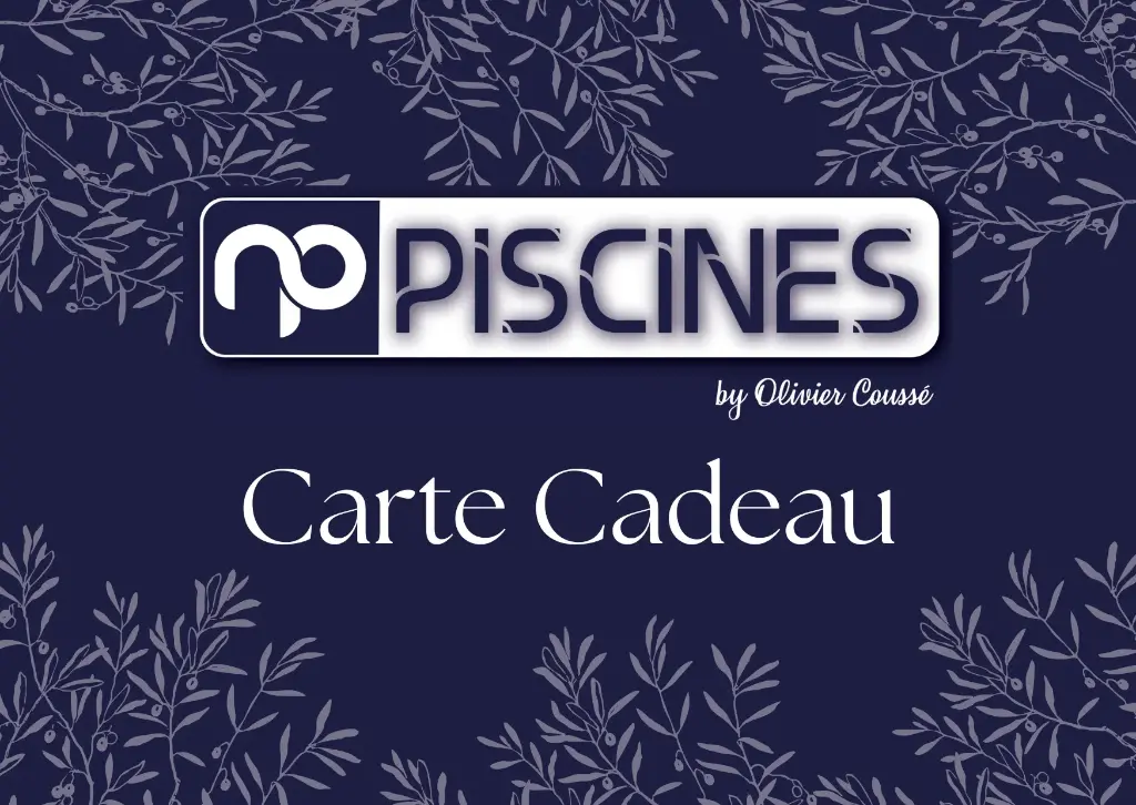 Carte cadeau 100 euros