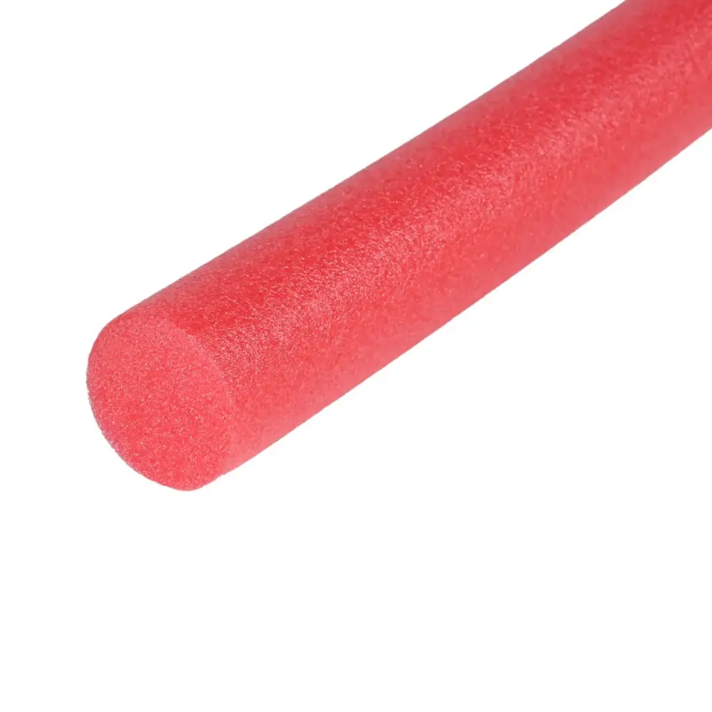 FRITE AQUATIQUE