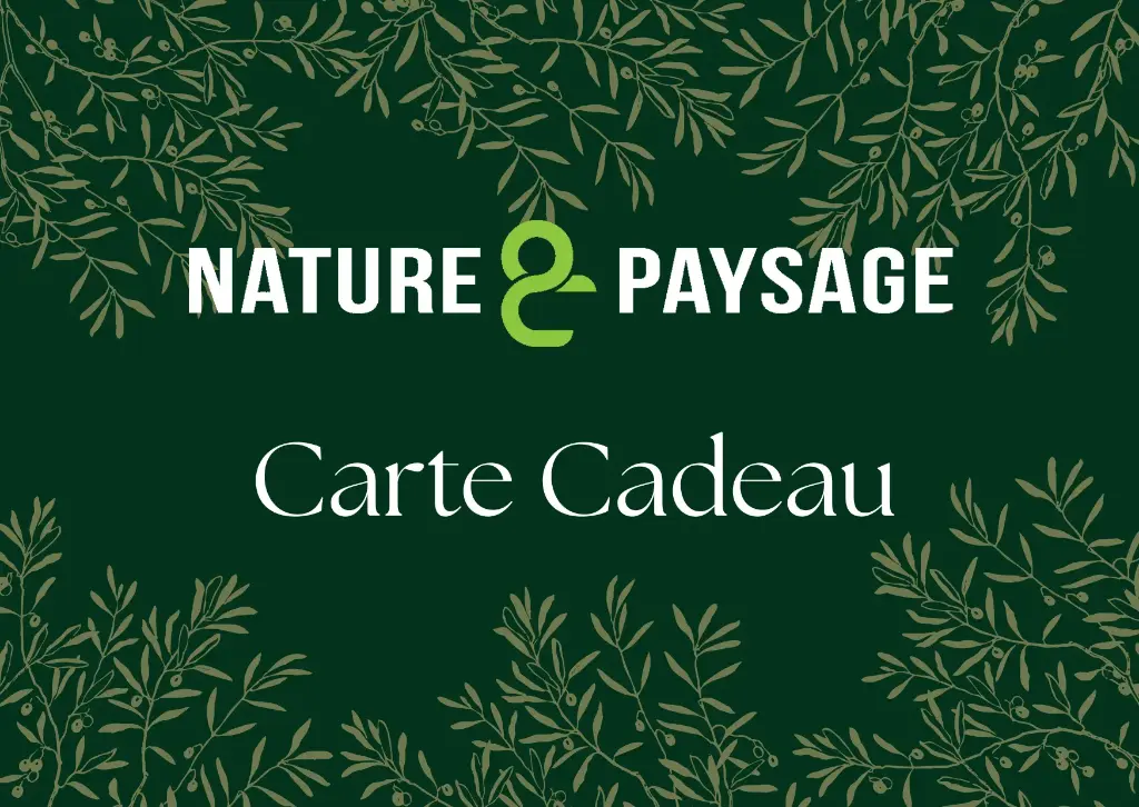 Carte cadeau 30 euros