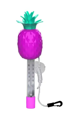 [601450012] THERMOMETRE ANANAS
