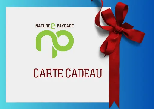 Carte-cadeau 30 euros 